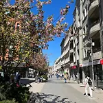 Sloneczny Centrum Poznania Klimatyzacja Wi-fi Tv Zmywarka Pralka Piekarnik *