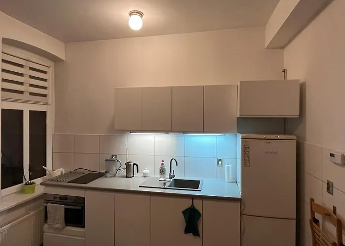 Apartment Sloneczny Centrum Poznania Klimatyzacja Wi-fi Tv Zmywarka Pralka Piekarnik *